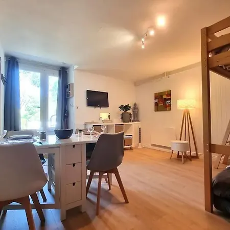 Studio-piscine-jardin-parking * 科利尤尔
