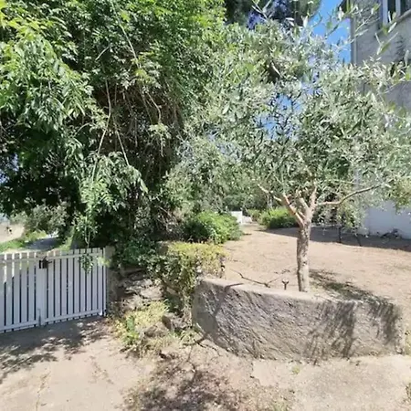 公寓 Studio-piscine-jardin-parking 科利尤尔